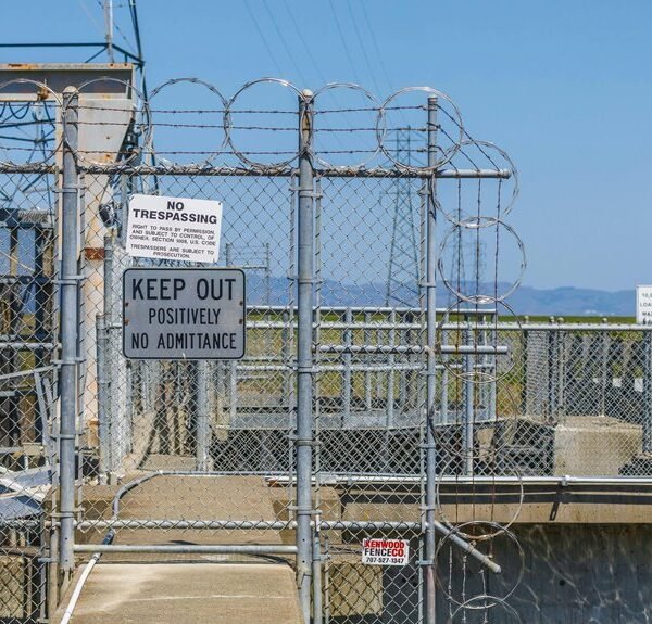 link development for authority