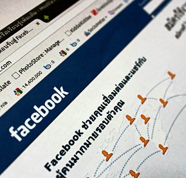 Professional SEO Network 805045 for Website Authority